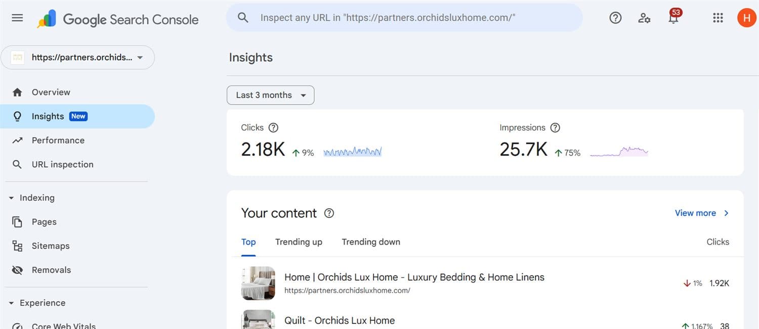 Orchids Lux Search Console